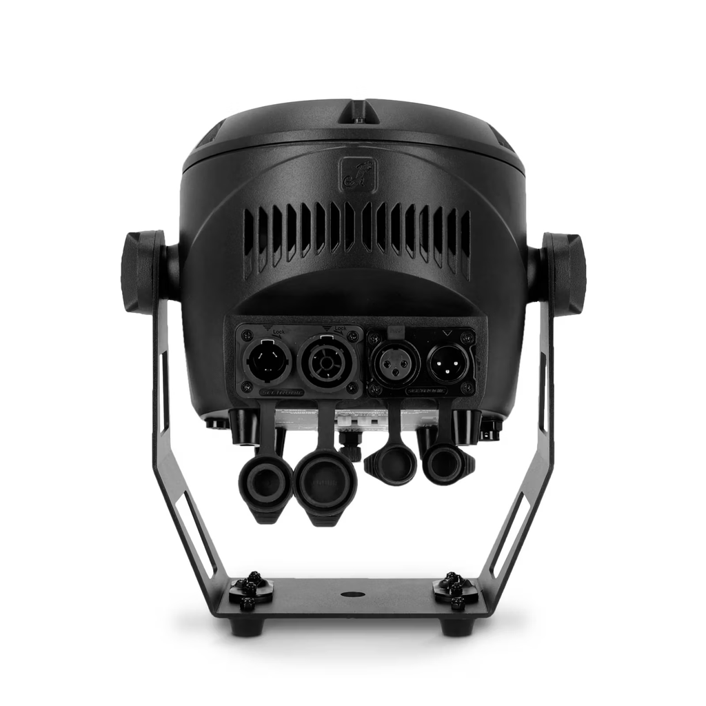 CLROOTPARIP_7.jpg kopi.webp