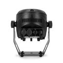 CLROOTPARIP_6.jpg kopi.webp