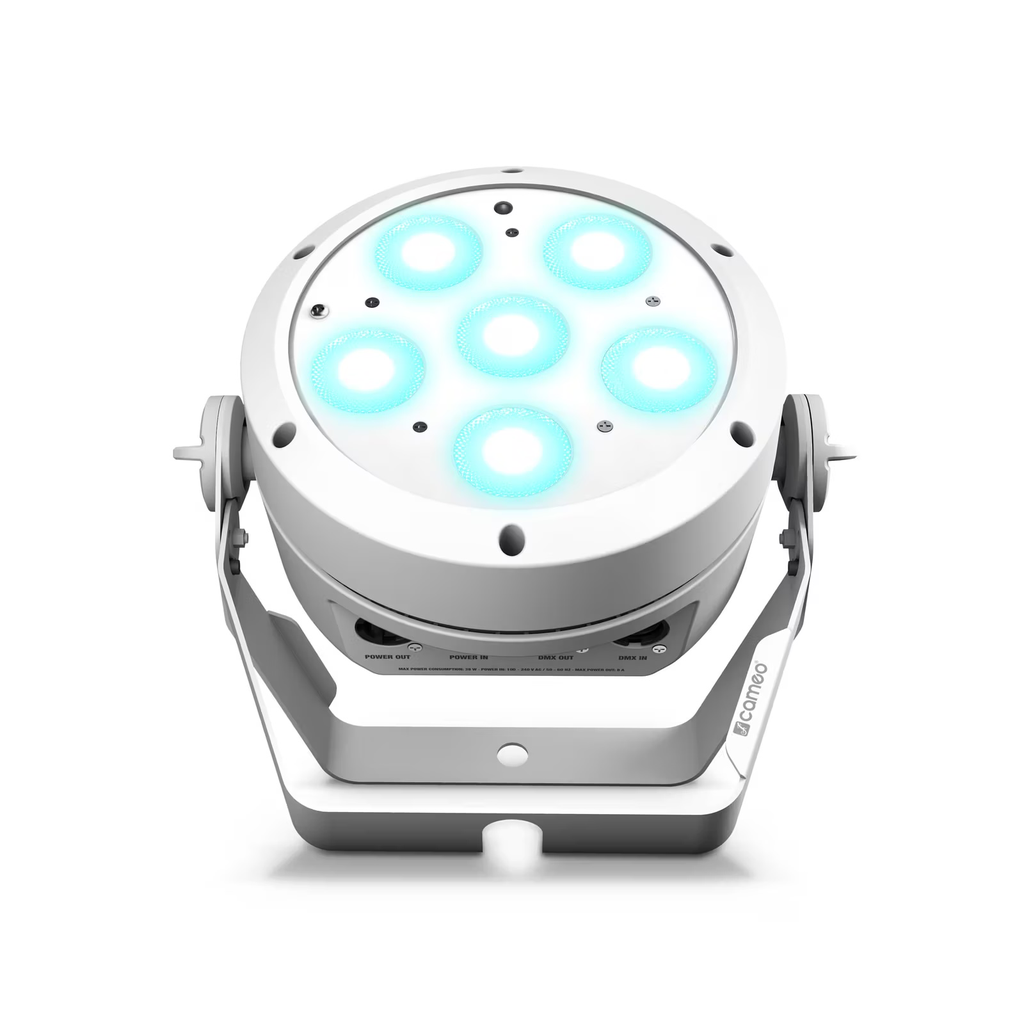 CLROOTPAR6WH_6.jpg kopi.webp