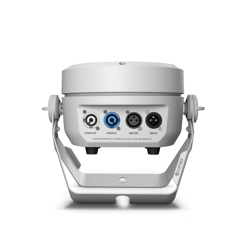 CLROOTPAR6WH_9.jpg kopi.webp