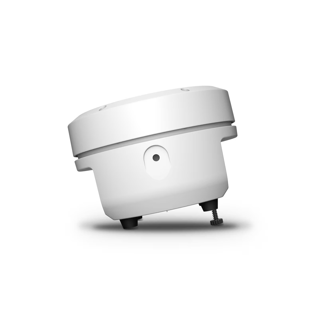 CLROOTPAR6WH_8.jpg kopi.webp