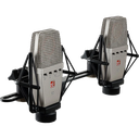 sE Electronics T2 Matched Pair